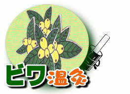 ビワについて知りたい ビワ温熱療法の体験談