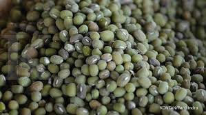 Maybe you would like to learn more about one of these? Menurunkan Risiko Penyakit Jantung Berikut 4 Manfaat Kacang Hijau