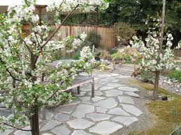 We did not find results for: 12 Best Plants For Small Urban Gardens Houzz Nz