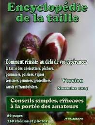 Encyclopedie De La Taille Des Arbres Fruitiers Grand Format By Jean Paul Gallerand Paperback Ebook Pdf Langlois Free Reading