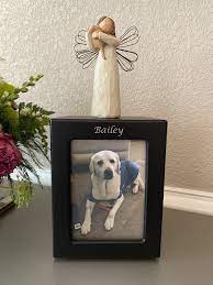 Maybe you would like to learn more about one of these? Lasting Paws Pet Memorial Services Gift Cards And Gift Certificates Johnstown Co Giftrocket