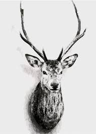 Black And White Deer Wall Art Pin On Diy Painting Kit Ideas