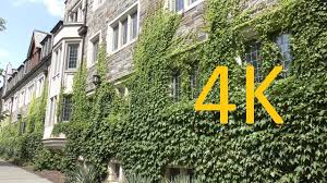 Applicants will not be able to visit the. A 4k Tour Of Princeton University Youtube