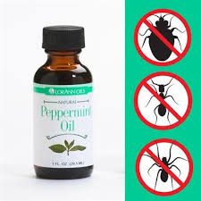 Peppermint Oil Natural Bug Repellent Recipe Natural Bug Repellent Oil Insect Repellent Insect Spray