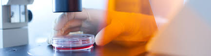 Le vaccin est indiqué pour toute personne qui désire réduire son risque d'attraper l'hépatite a et l'hépatite b. Vaccin Contre L Hepatite B