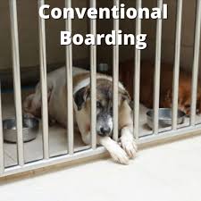 Getting a dog boarding near you means your dog gets to stay at an environment that's set up he is 11, house trained and very well behaved. Boarding Houston S Premier Dog Daycare Boarding Training Grooming Facilityhouston S Premier Dog Daycare Boarding Training Grooming Facility