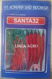 Jual Benih Santa 32 Harga Murah Cara Menanam Cabe Pinteres 08125222117 Sms Wa Benih Cabe Merah Santa 32 F1 Koreana Seed Di Jual Di T Cabai Tanaman Benih