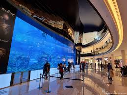 The dubai mall is a shopping mall in dubai. Dubai Mall Dubai Aquarium The Underwater Zoo