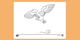 Select one of 1000 printable coloring pages of the category for boys. Predator Prey Colouring Colouring Sheet
