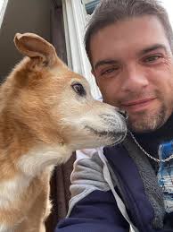 Rat Terriers barking at nothing due to old age