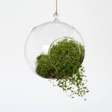 Terrariums Terrarium Supplies Glass Planters Cloches Hanging Terrariums Potting Materials Terrain Hanging Air Plants Hanging Garden Hanging Terrarium