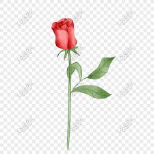 Download and use 60,000+ rose flower stock photos for free. Beautiful Red Rose Flower Illustration Png Image Picture Free Download 611747820 Lovepik Com