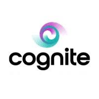 Hovedproduktet er en plattform til å samle, behandle og analysere store mengder data løpende i industrien, for eksempel på oljeplattformer eller skip, som kan brukes til å optimalisere og planlegge vedlikehold og andre typer prosesser. Cognite Linkedin