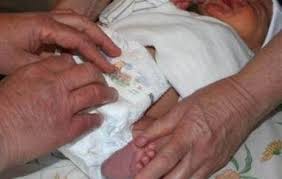 Image result for circumcision shield