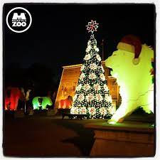 Suntrust Zoo Lights At The Memphis Zoo Is One Family Activity You Don T Want To Miss Memphis Zoo Zoo Lights Zoo