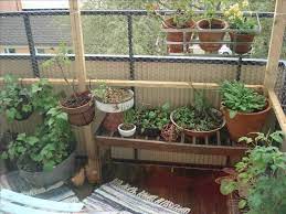 Cat Safe Balcony Cat Proof Balcony Cat Patio Apartment Pet