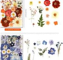 Amazon.com: nisetten 110+PCS Pressed Flowers for Resin molds ...