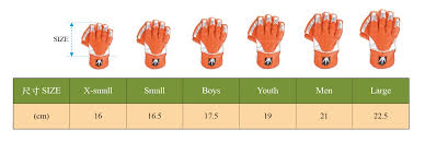 Cricket Taiwan Gloves Size Guide
