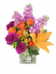 Maybe you would like to learn more about one of these? James Flowers