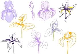 Free Free 67 Iris Flower Svg SVG PNG EPS DXF File