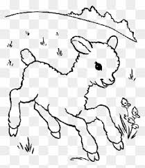 Check spelling or type a new query. Sheep Shearing Wool Lamb And Mutton Computer Icons Lamb Svg Free Transparent Png Clipart Images Download