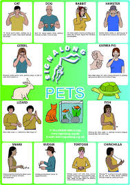 Pets Signs Bsl British Sign Language Signlanguageposter