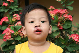 Oral Surgeon in Walpole