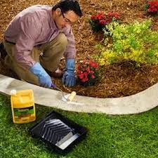 How To Make Concrete Garden Edging Concrete Garden Edging Concrete Garden Garden Edging
