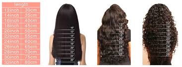 Hair Length Chart Weave Lajoshrich Com