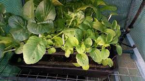 The main applications include cooling ceilings (radiant cooling) and underfloor heating. Diy Capillary Mat The Ultralight Hiker