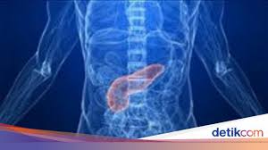 Selain itu, pankreas juga berfungsi sebagai penghasil hormon insulin yang berguna menyeimbangkan kadar gula darah dalam tubuh. Duh Ternyata 6 Kebiasaan Sehari Hari Ini Membahayakan Pankreas
