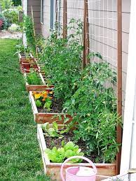 61 Beautiful Backyard Vegetable Garden Designs Ideas Gardenideas Backyard Vegetable Gardens Small Vegetable Gardens Vegetable Garden Planning