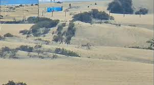 Lady pees in the dunes - ThisVid.com