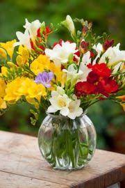 How To Plant And Grow Freesias Sarah Raven Freesia Flowers Beautiful Flower Arrangements Fragrant Flowers