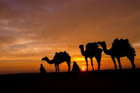 There are some short portions to the trek that are simply too rough to ride. Camel Trekking Prime Morocco Tours