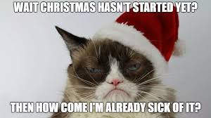 Pin By Ms C On Holiday Memes In 2020 Grumpy Cat Christmas Grumpy Cat Humor Funny Cat Memes