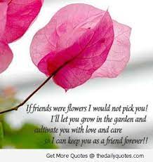 Grab a cup of coffee and enjoy these flower images with quotes! Friendship Like A Flower Quotes Quotes About Flowers And Friendship Flowers Quotes Love Life Quotes Flowers Friendship Quotes