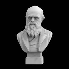3d Printable Bust Of Charles Darwin By Scan The World Bust Charles Darwin Darwin