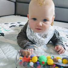 Tracy Wilder (tlowilder)