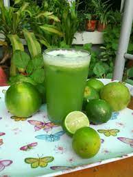 Kapsul peria katak bagus untuk memberikan tenaga tambahan untuk melakukan aktiviti harian. Bahan Bahanya 1 Batang Celery 1 Biji Peria Katak 1 Biji Epal Hijau 1 Hirisan Limau Nipis Cara Caranya Bersihkan Sayur Sayur Limau Minuman Sehat Sayuran