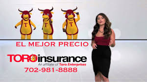 Lg insurance corp 5555 west flagler street, miami (fl), fl33134, united states. Toro Insurance Great Pricing And Service Youtube