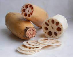 Dal lontano oriente un ingrediente benefico molto utilizzato in cucina. Radice Di Loto Wikipedia