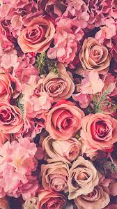 Wallpaper For Iphone Floral Wallpaper Iphone Iphone 5 Wallpaper Flower Wallpaper
