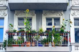 Wie das gelingt, ist von verschiedenen faktoren abhängig. Balkon Garten Nabu Berlin