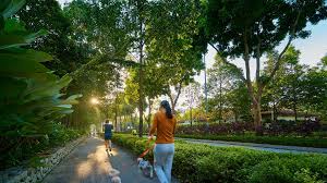Desa park city (çadırlı kamp alanı), kuala lumpur (malezya) fırsatları. Desa Parkcity Continues To Thrive