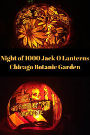 Maybe you would like to learn more about one of these? Night Of 1 000 Jack O Lanterns Recap Chicago Botanic Gardens Jack O Lantern Chicago Botanic Garden Fall Travel
