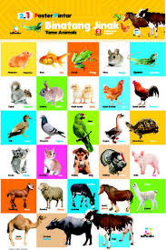 Demikian beberapa jenis burung yang mudah jinak dan cocok untuk hewan peliharaan di rumah bersama keluarga. Elex Media Komputindo 2 In 1 Poster Pintar Binatang Jinak Dan Buas