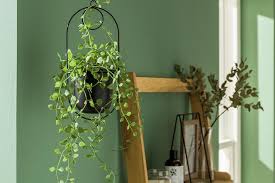 Maybe you would like to learn more about one of these? Indoor Planters And Faux Plants Habitat