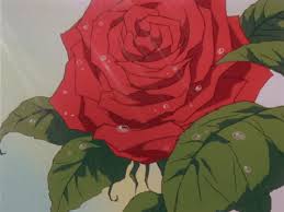 Check spelling or type a new query. Amazing Roses Animated Gifs
