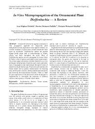 Pdf In Vitro Micropropagation Of The Ornamental Plant Dieffenbachia A Review Hussien Daffalla Academia Edu